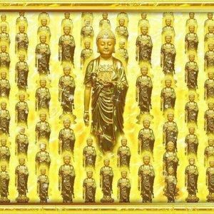 Meet your Posher, Cẩm